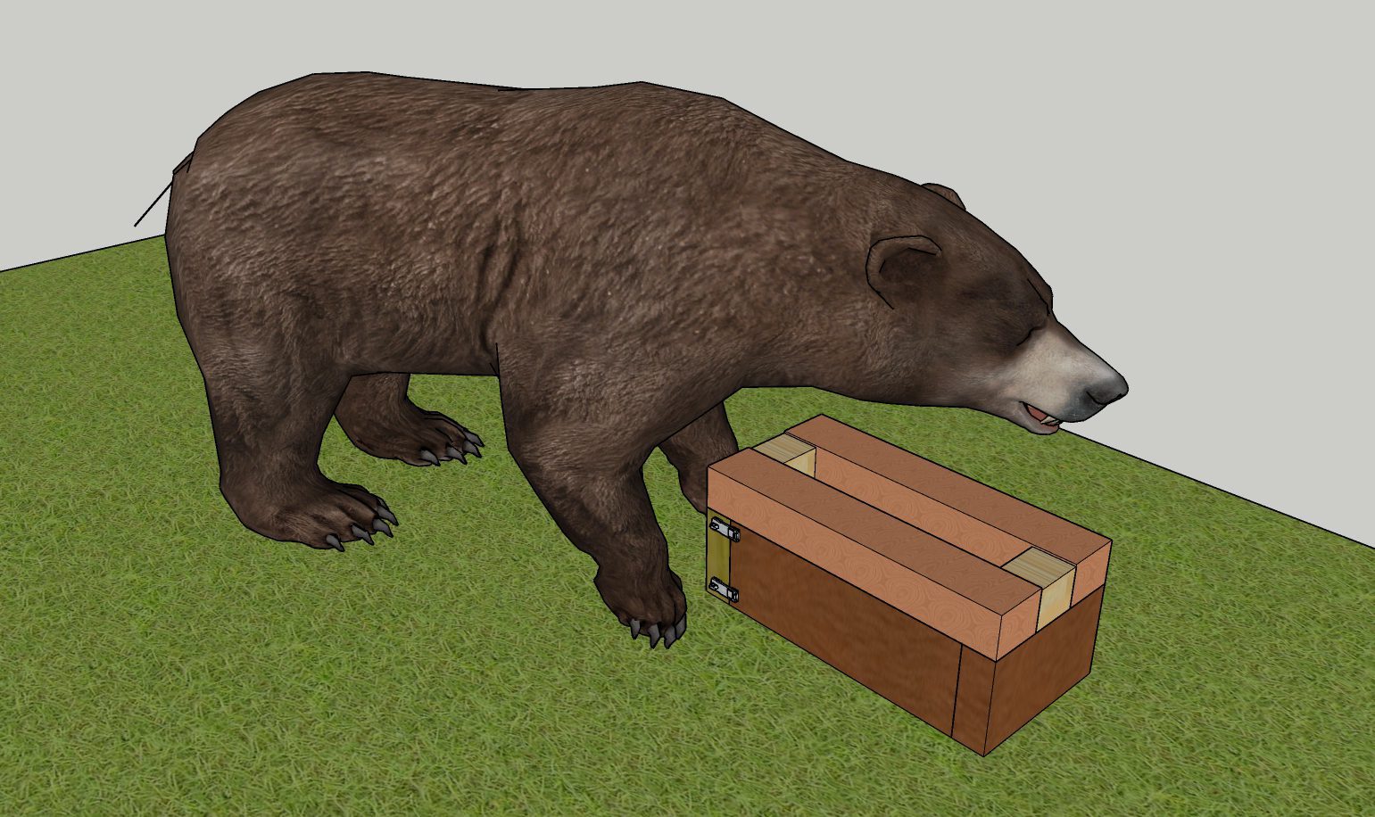 foam bear box